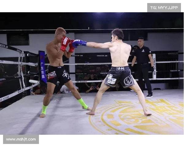 探索全球格斗比赛各类赛事从综合格斗到拳击摔跤泰拳全解析