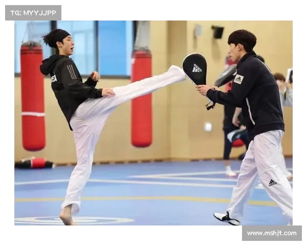 站立格斗最好的赛事、站立式格斗世界排名